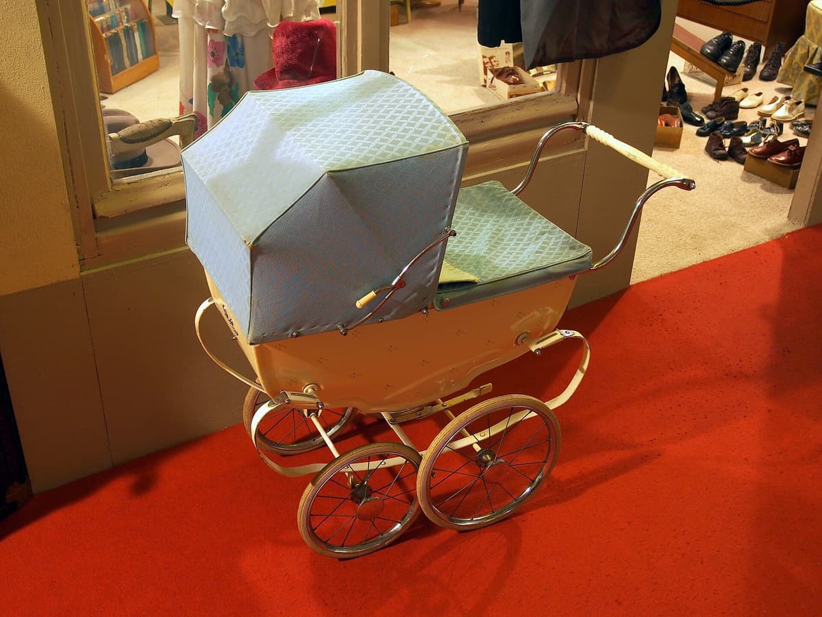 Cybex Bebek Arabası + Ana Kucağı